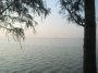 img117.jpeg.small.jpeg
