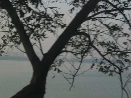 img119.jpeg.medium.jpeg