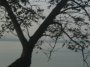 img119.jpeg.small.jpeg