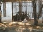 img122.jpeg.small.jpeg