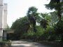 img146.jpeg.small.jpeg