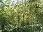 img147.jpeg.small.jpeg