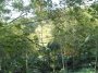 img148.jpeg.small.jpeg