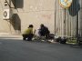 img162.jpeg.small.jpeg